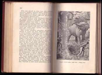 Karl May: Quimbo