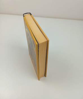 Lemony Snicket: Řada nešťastných příhod