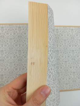 Lemony Snicket: Řada nešťastných příhod