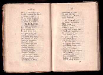 František Bayer: Radost