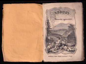 František Bayer: Radost