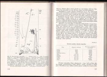 Ján Chrapan: Radiačná chronológia
