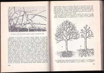 Gustáv Čejka: Radíme záhradkárom