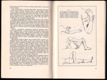 Miroslav Rameš: Radioaktivní záření a lidský organismus