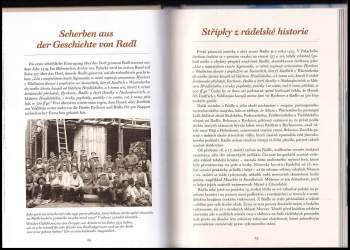 Marek Řeháček: Rádlo