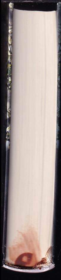 Vladimíra Strnadelová: Radost ze zdravých dětí