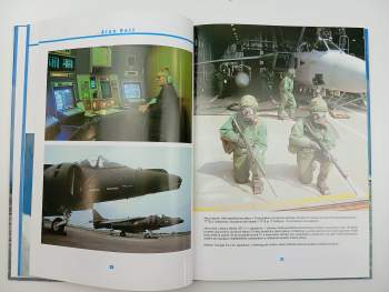 Alan W Hall: RAF po pádu Varšavské smlouvy