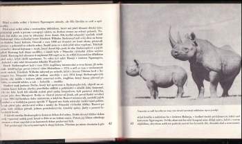 Bernhard Grzimek: Ráj divokých zvířat