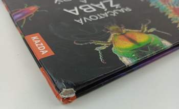 Andrea Köhrsen: Rajčatová žába a modrý drak