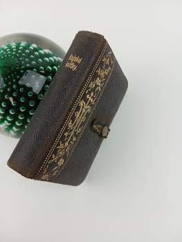 T Nepveu: Rajské kvítky