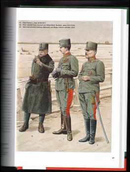 Peter Jung: Rakousko-uherská armáda za první světové války