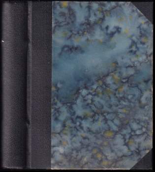 Zikmund Winter: Rakovnické obrázky