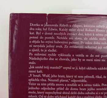 Noah Gordon: Ranhojič