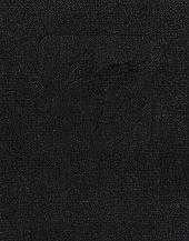 Ivan Skála: Ranní vlak naděje