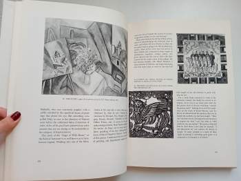 Alfred Werner: Raoul Dufy (Thames and Hudson Library of Great Painters)
