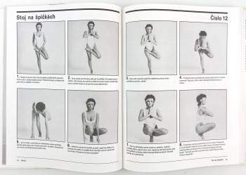 Raquel Welch: Raquel