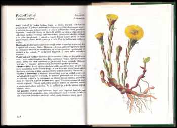 Bohumír Hlava: Rastliny v kozmetike