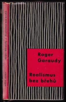 Realismus bez břehů