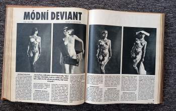 Petr Bílek: Reflex NEKOMPLETNÍ ROČNÍK 1992, Číslo 2-36