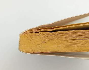 Dick Francis: Reflex