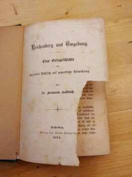Hermann Hallwich: Reichenberg und Umgebung
