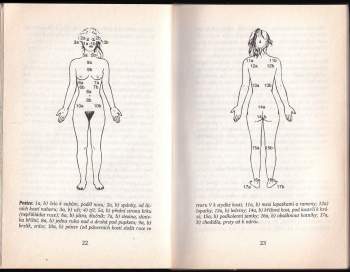 Walter Lübeck: Reiki