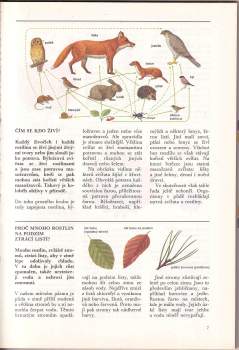 Daniel Alibert-Kouraguine: Řekni proč