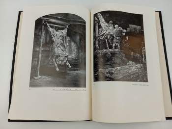 Rembrandt Harmensz. van Rijn: Rembrandt