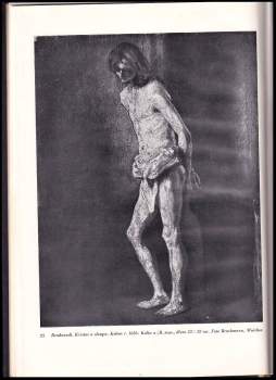 Rembrandt Harmensz. van Rijn: Rembrandt