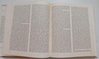 V. V Štech: Rembrandt