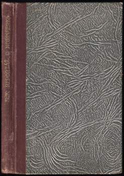 Ivan Suk: Reportáž o Norimberku