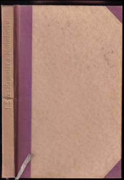 Ivan Suk: Reportáž o Norimberku