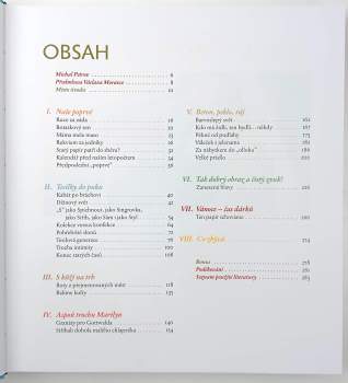 Michal Petrov: Retro ČS