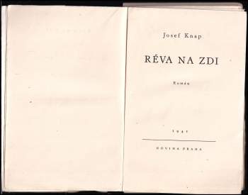 Réva na zdi : román