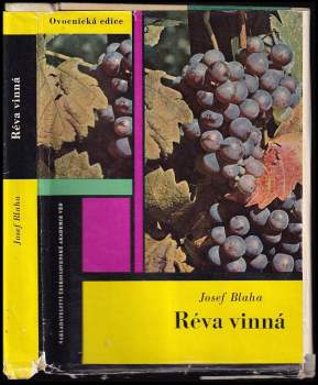 Réva vinná