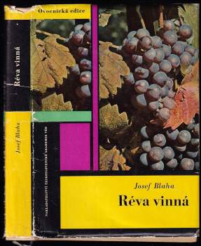 Réva vinná