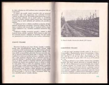 František Kyncl: Řez ovocných dřevin