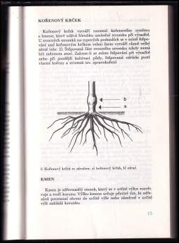 František Kyncl: Řez ovocných dřevin
