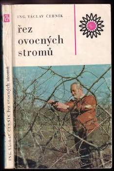 Řez ovocných stromů