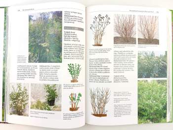 Helmut Pirc: Řez stromů a keřů