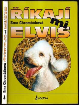 Říkají mi Elvis