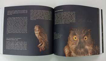 Říše prastará, mocná i zkrocená