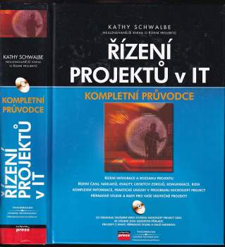 Řízení projektů v IT