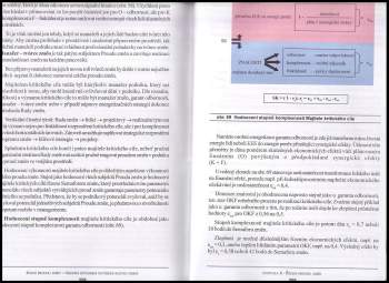 Andrej Kopčaj: Řízení proudu změn