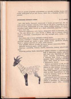 Ferdinand Olšanský: Robíme si hračky