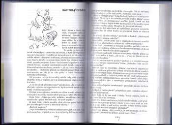 Zdena Frýbová: Robin Druhý a jeho rodina