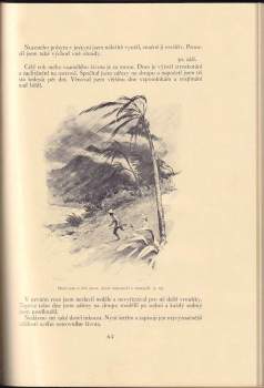 Daniel Defoe: Robinson Crusoe