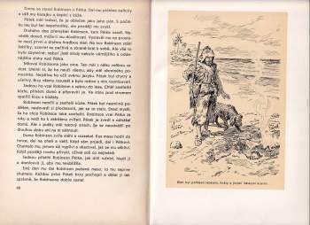 Daniel Defoe: Robinson Crusoe