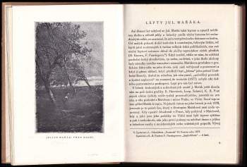 Josef Mánes: Ročenka Štencova grafického kabinetu