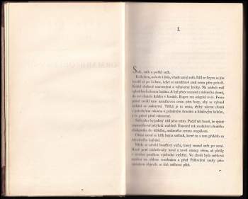 Gunnar Gunnarsson: Rod na Borgu